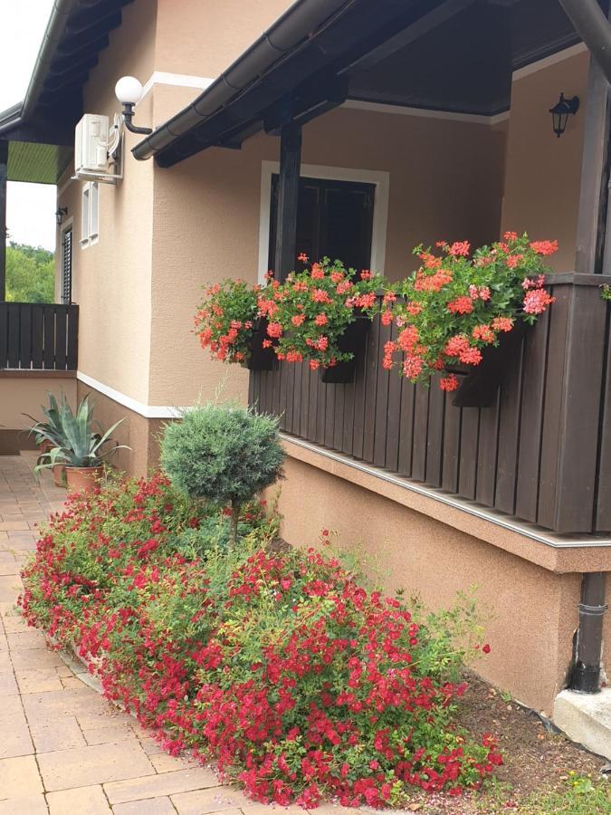 Guest Accommodation Marko Kesic グラボヴァツ エクステリア 写真